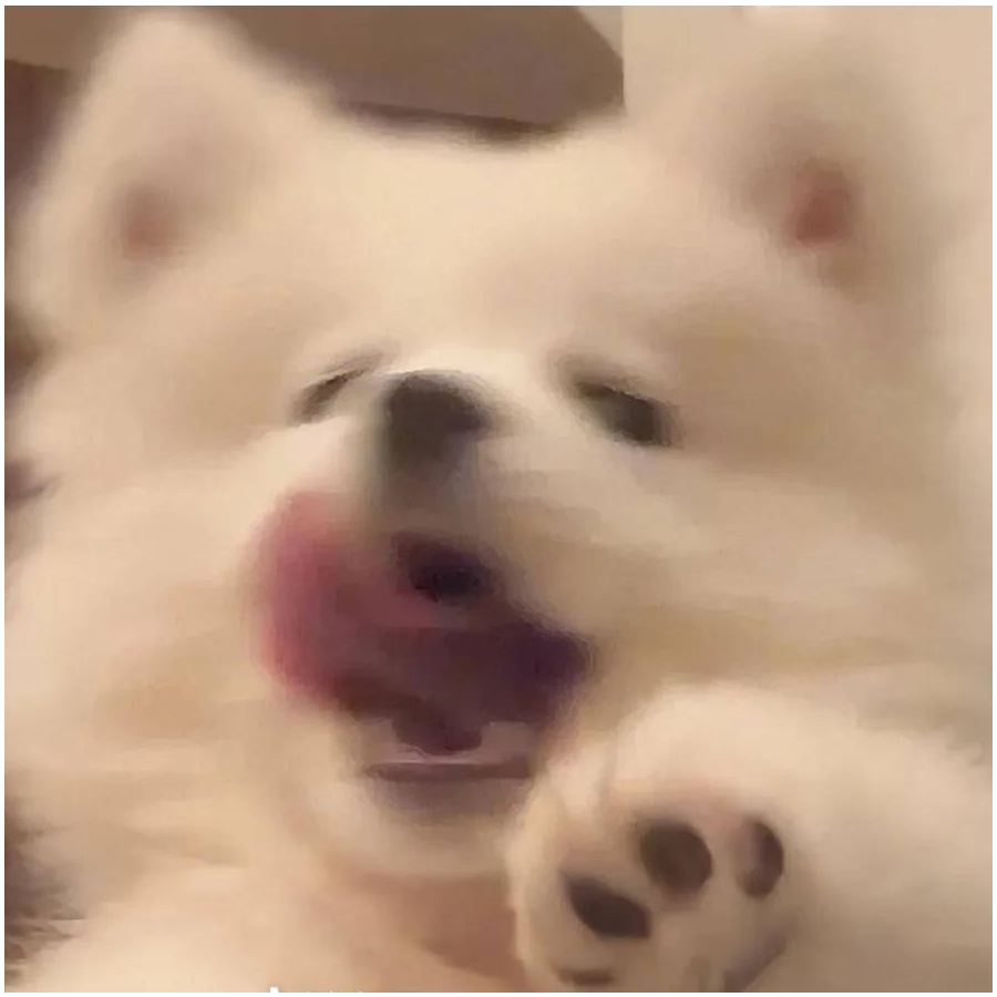 诺希