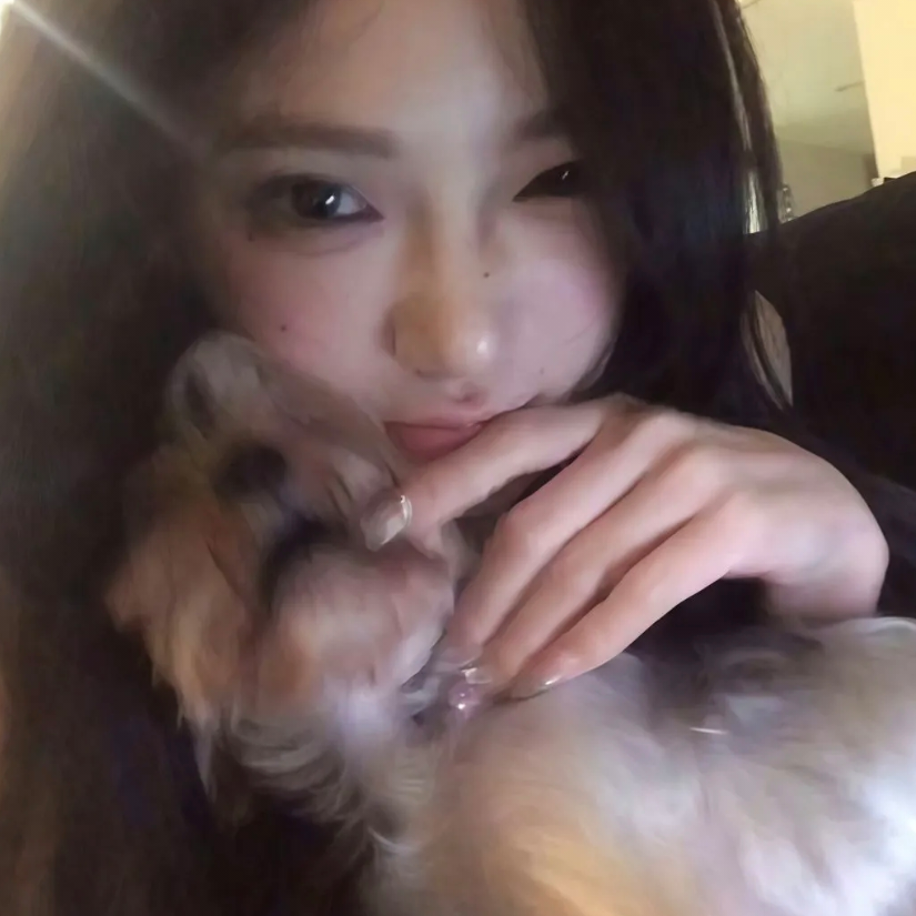 萝卜摔了一跤变萝卜酱