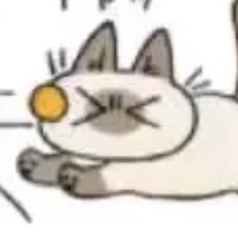 洛离是只废猫猫