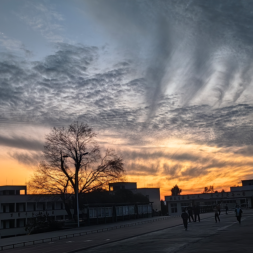 一个人的夜我的心应该放在哪里