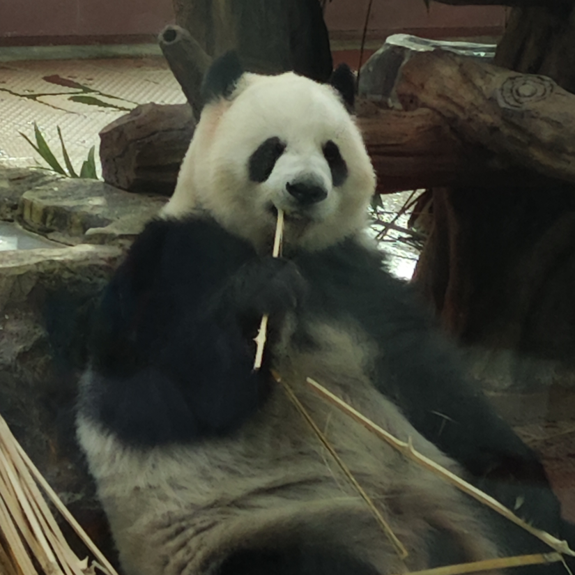 一个人