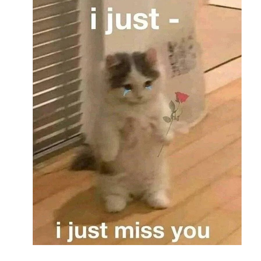 pm