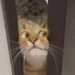 罐装冰咖啡