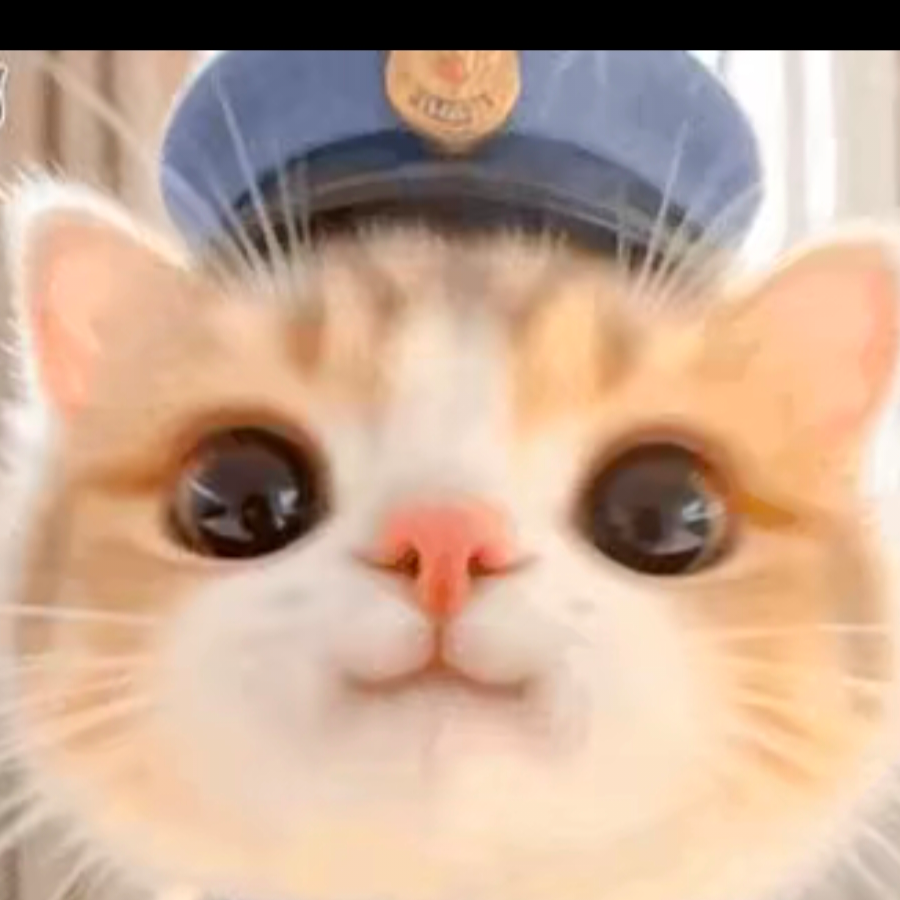 阴谋版小猫