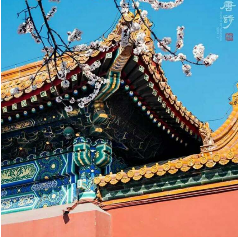 汉帝丨牛牛