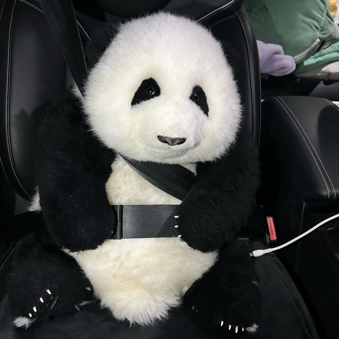 机敏的休闲玩家