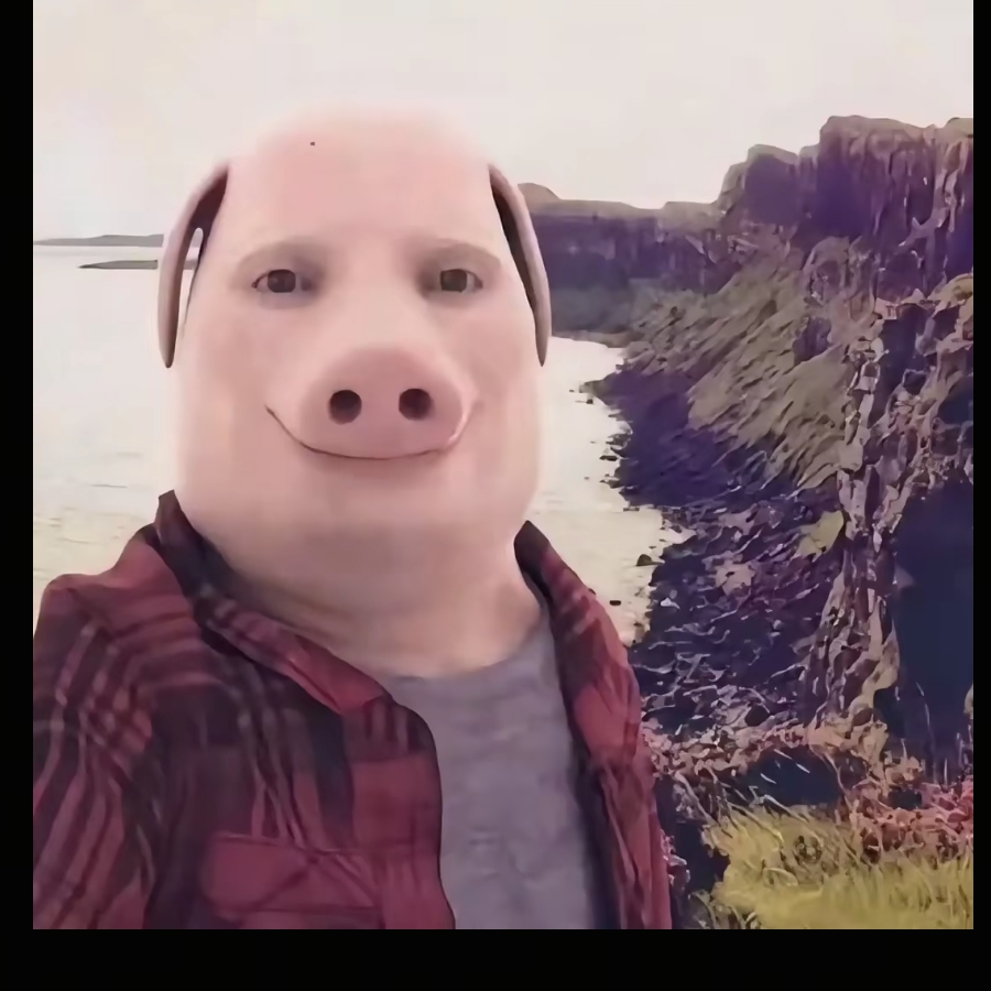 沉默的狗子