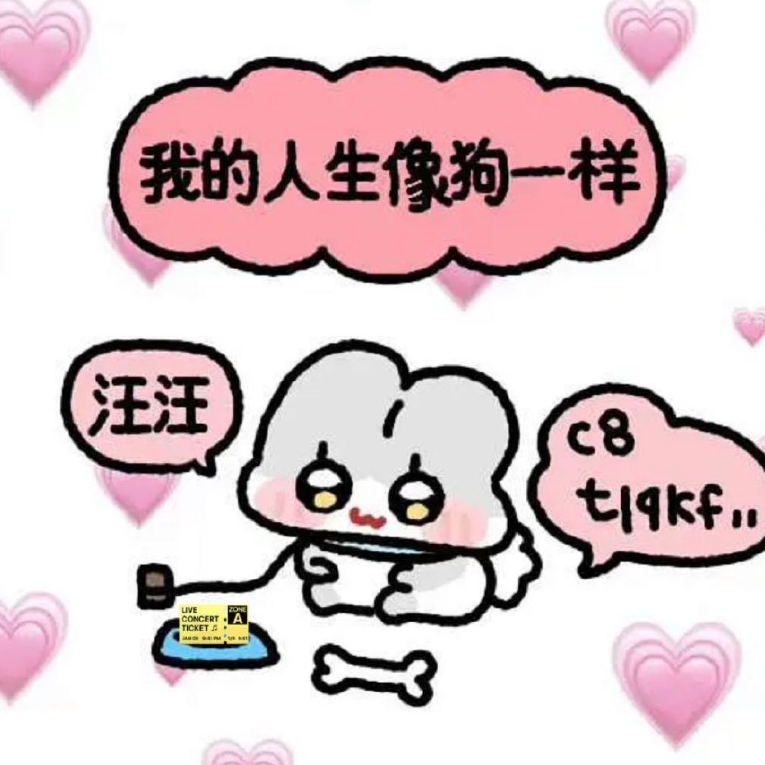 纯种白羊