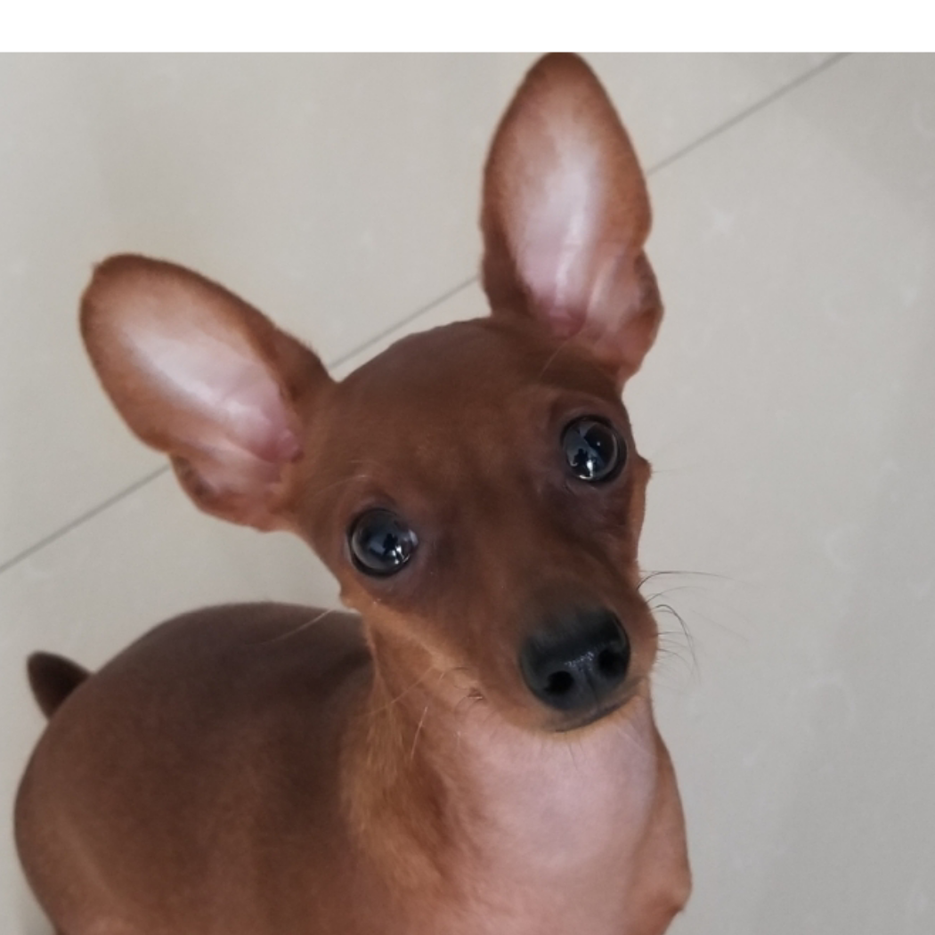 考试系统