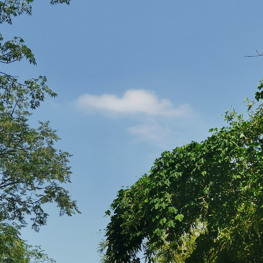 成分复杂的句点