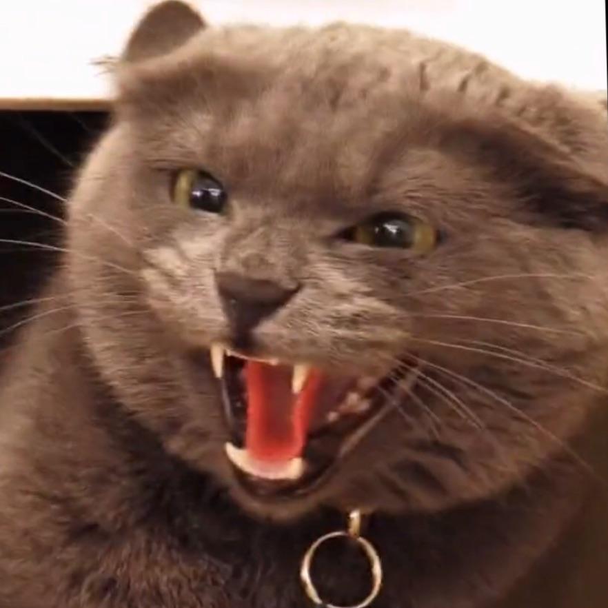おやすみ