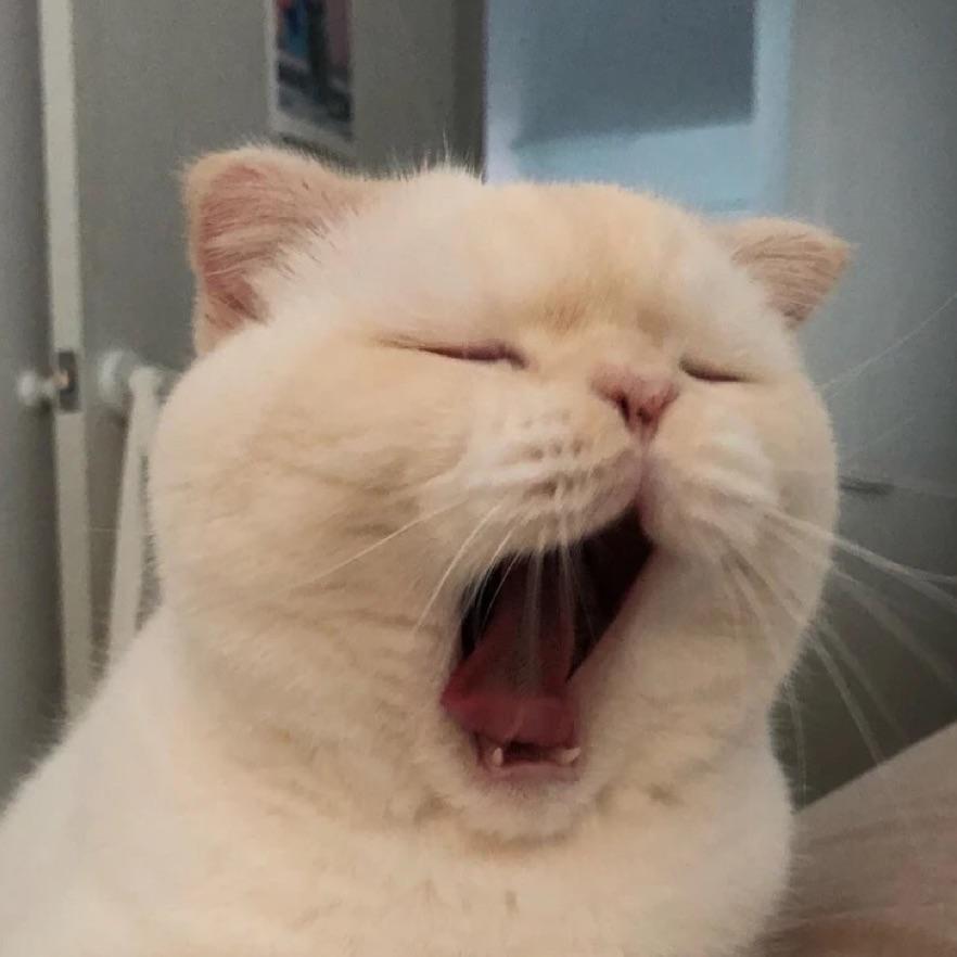 一亿