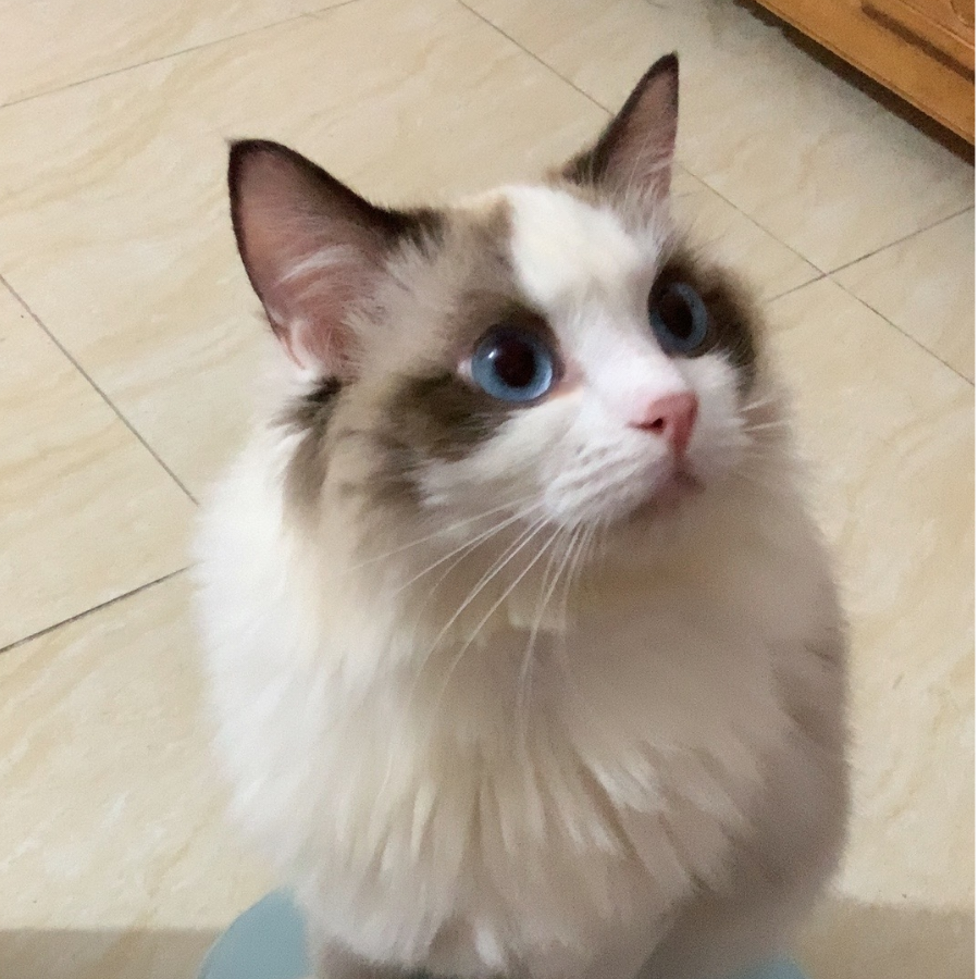 不想睡觉oooo
