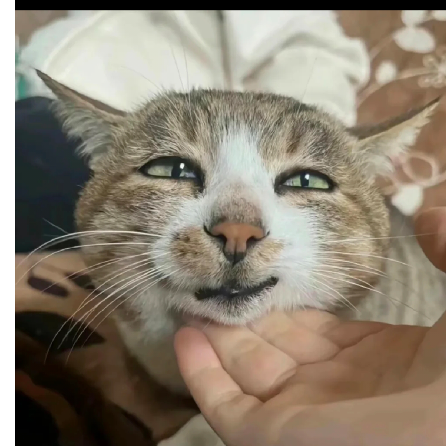 链七