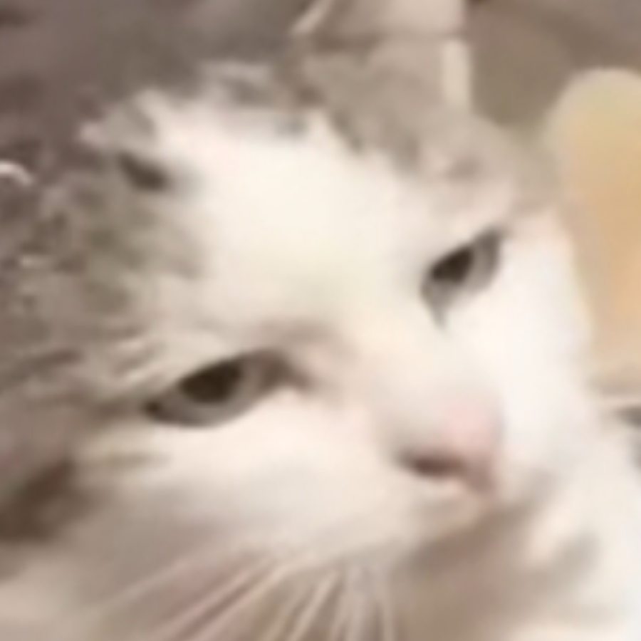 哦豁