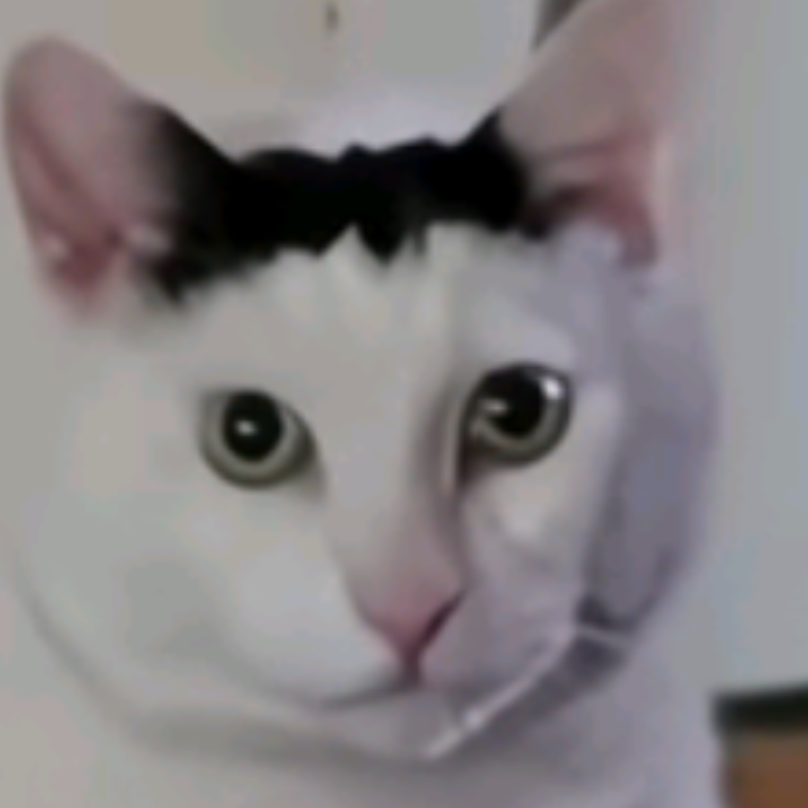 ✘