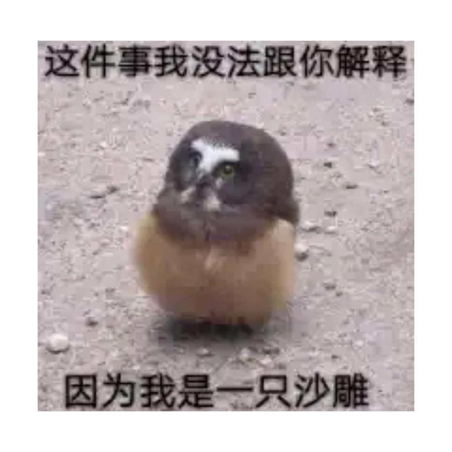老莫