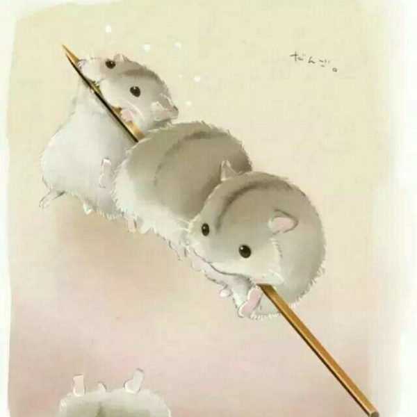 皇冠小松鼠