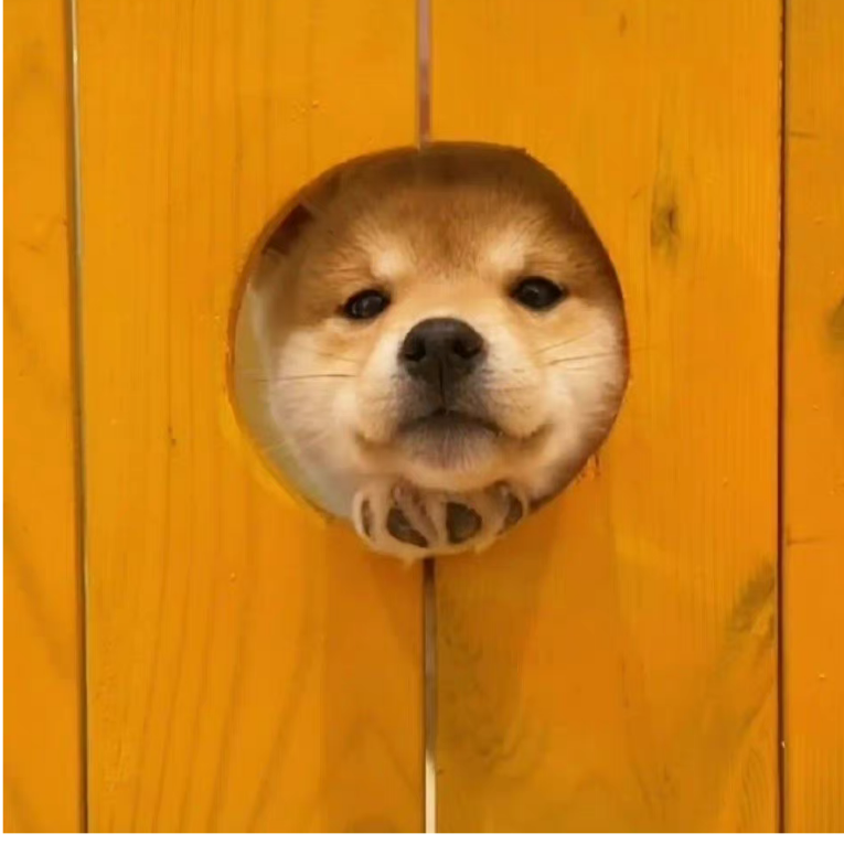 西和早