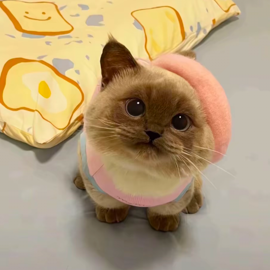 久周