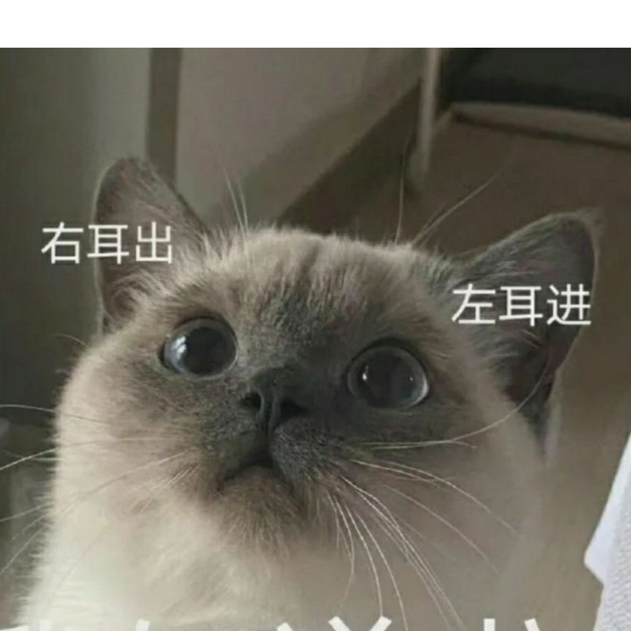 海底捞在逃肥牛
