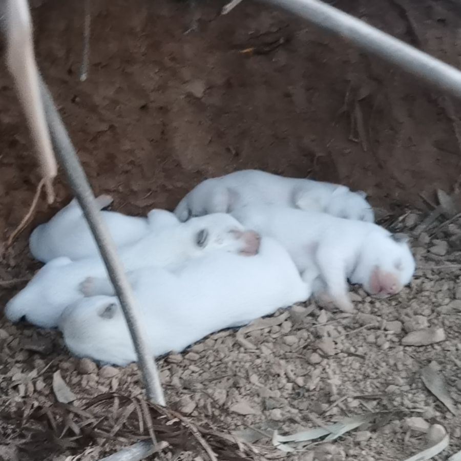 爱玩游戏的阿贵