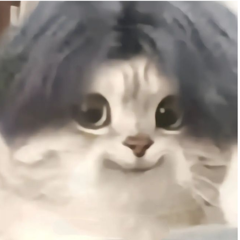 没想好