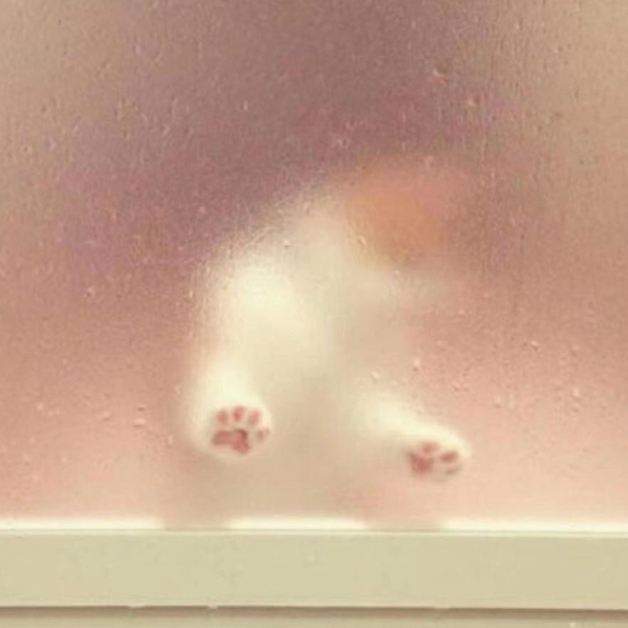 彼女