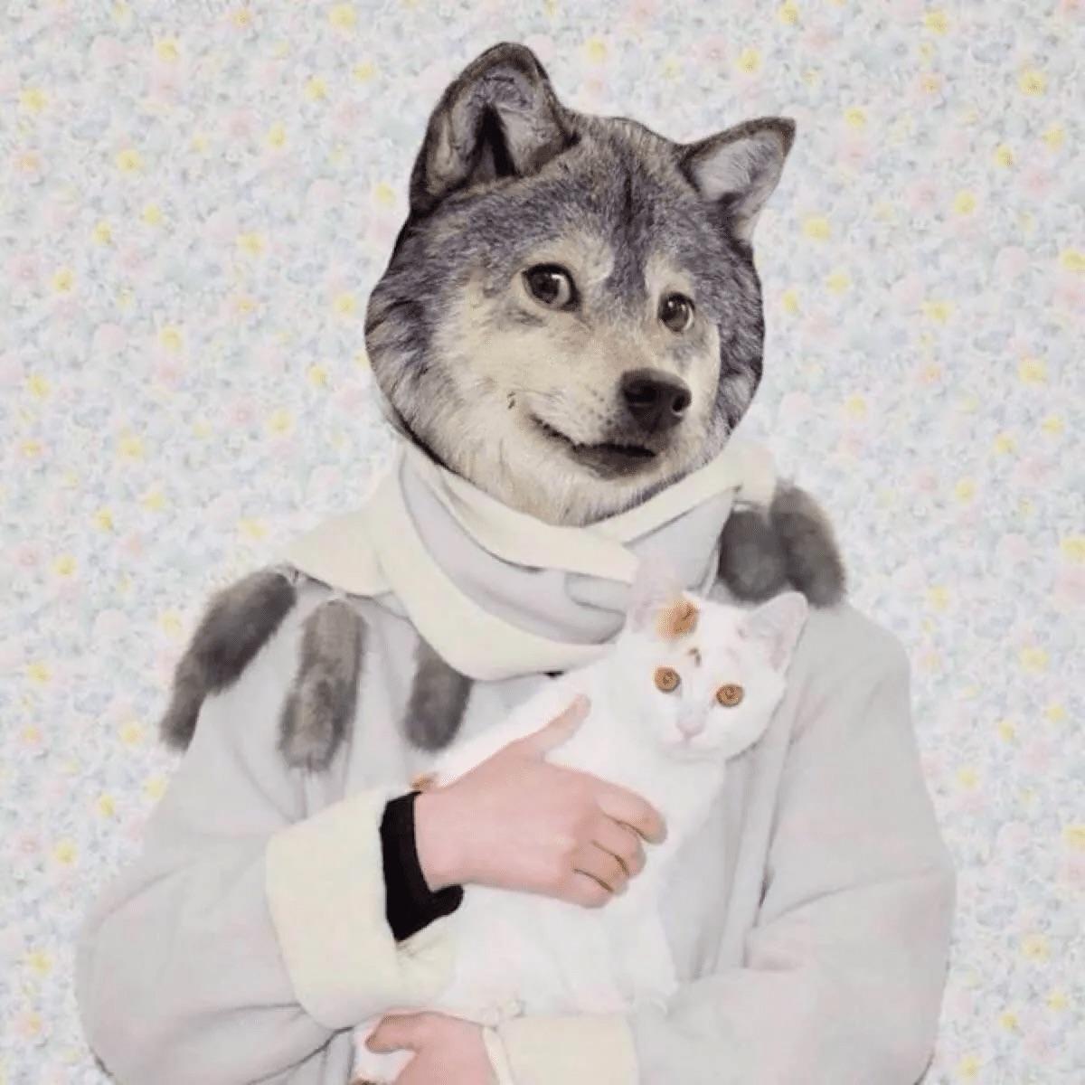 布谷不咕