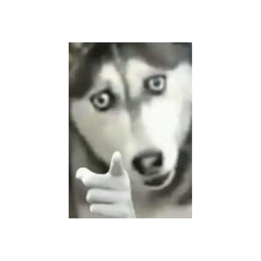秋泽