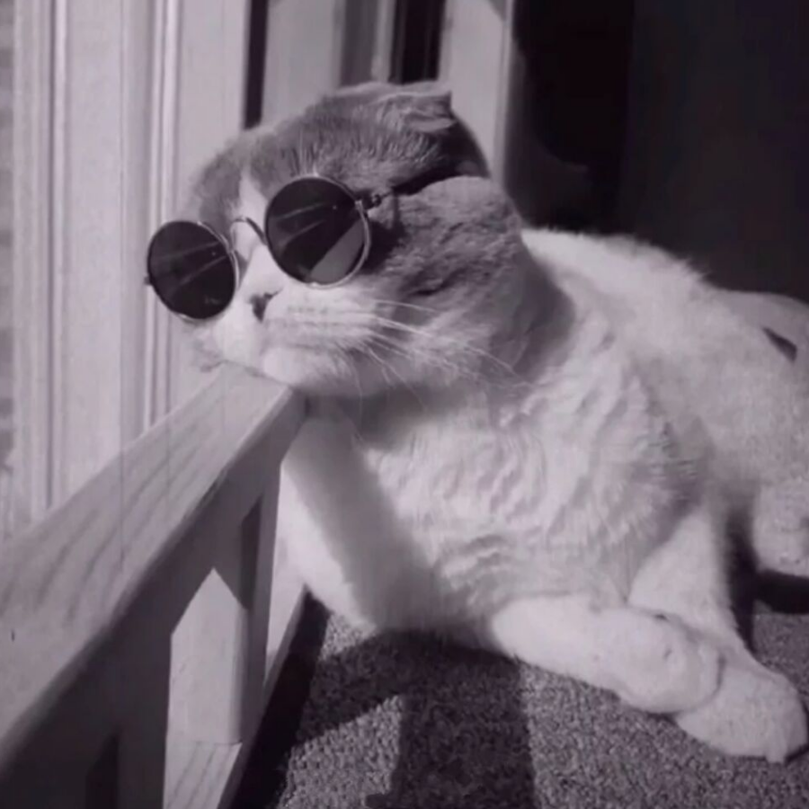 醉酒当歌陆大神