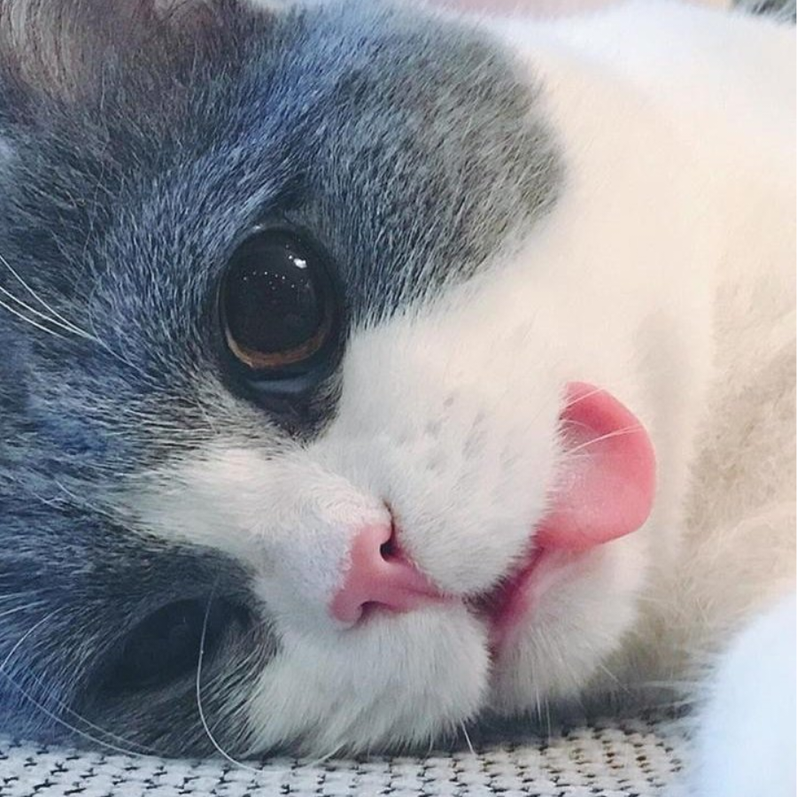 LIZI