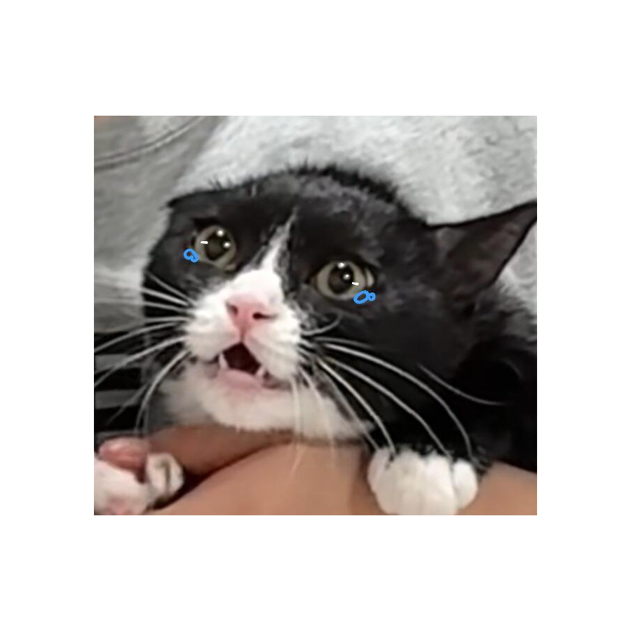 梦邪