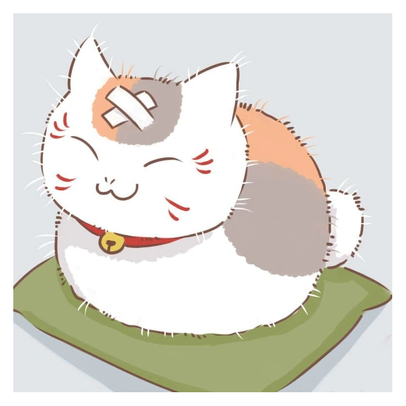 🐱老师