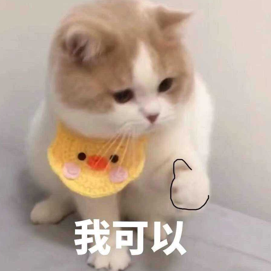 五云