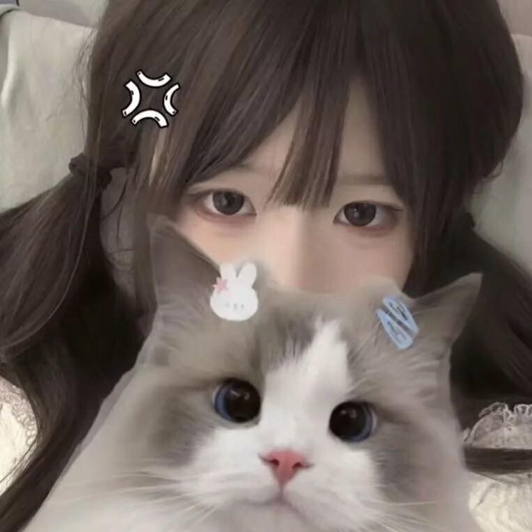 莴爱小猫