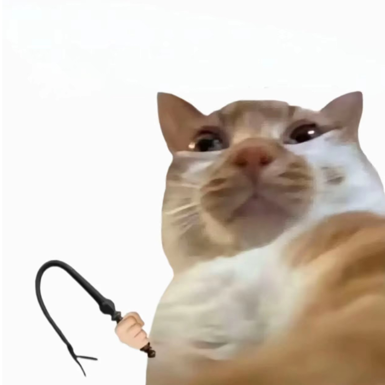 控制