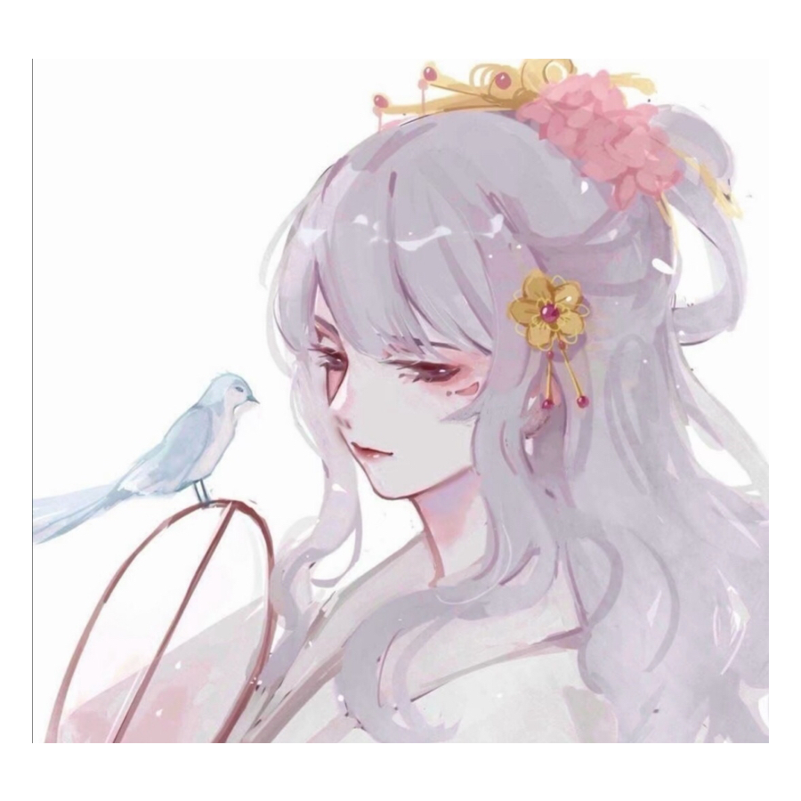 狸猫半梦