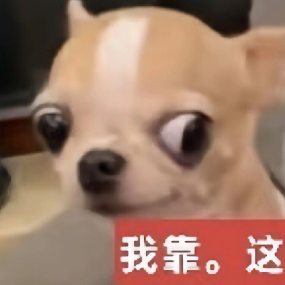 失语的猫