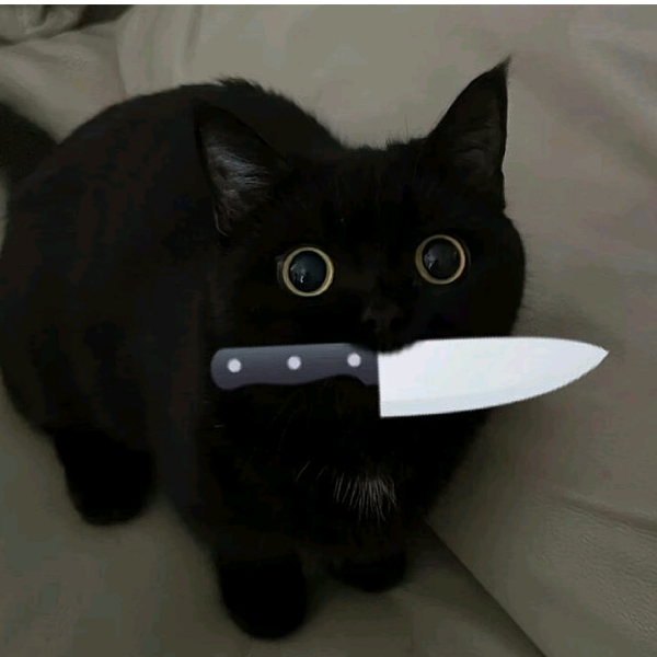 ---
