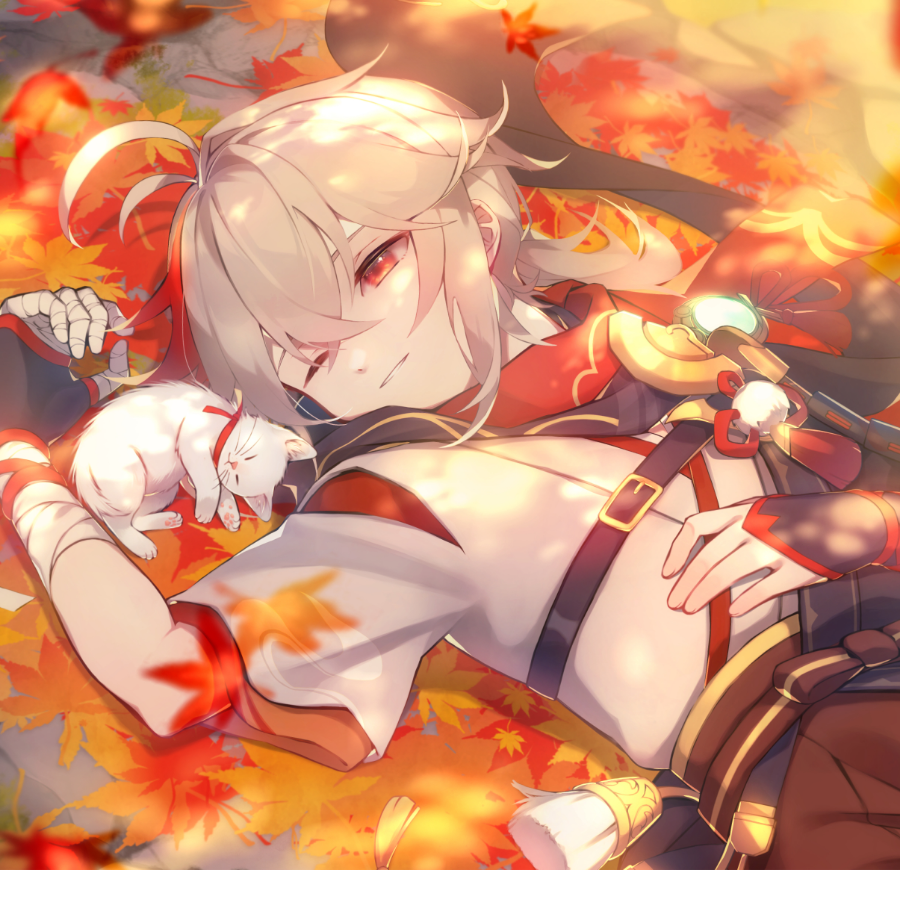 Cola