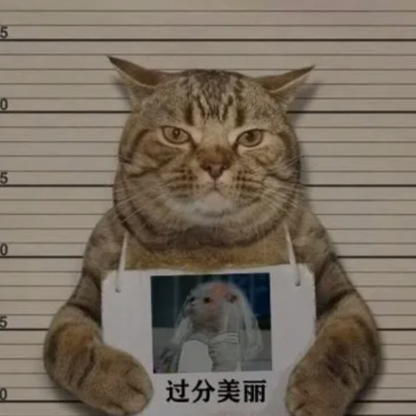 啊没错