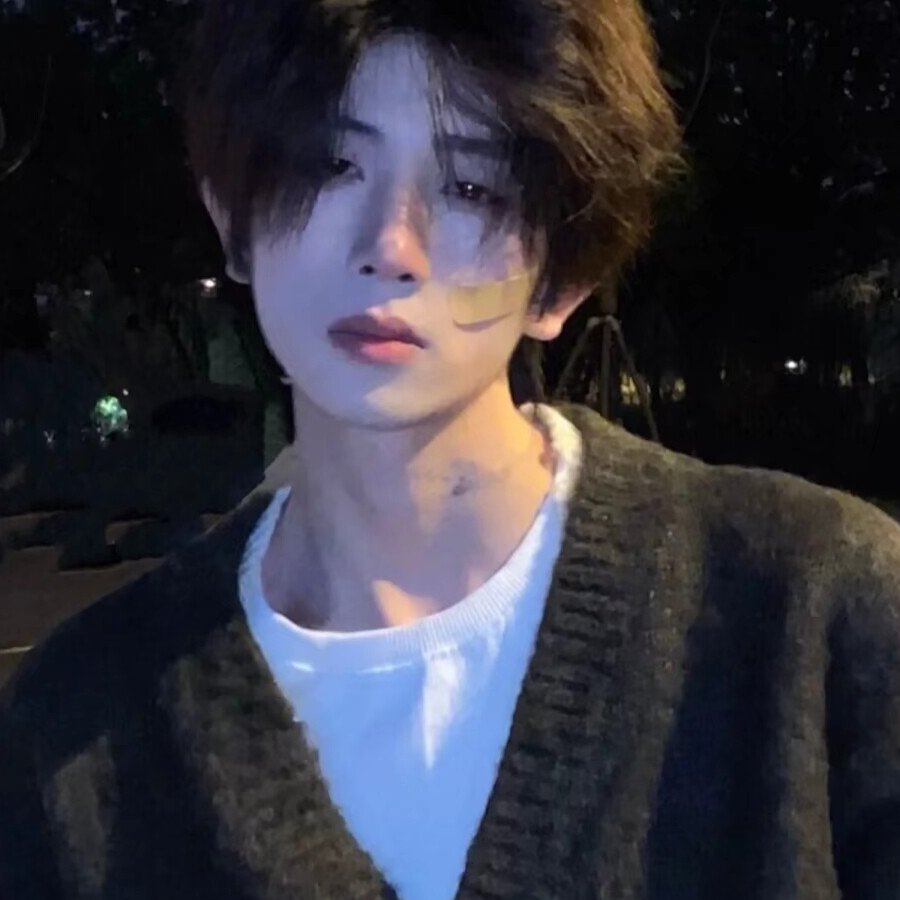 鹤忧.