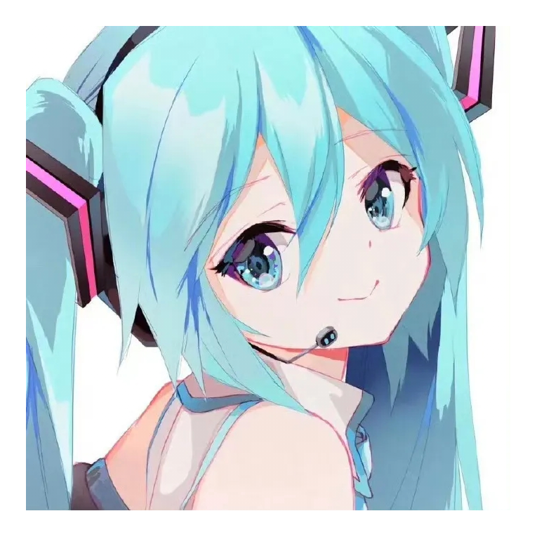 初音未来的香腿毛