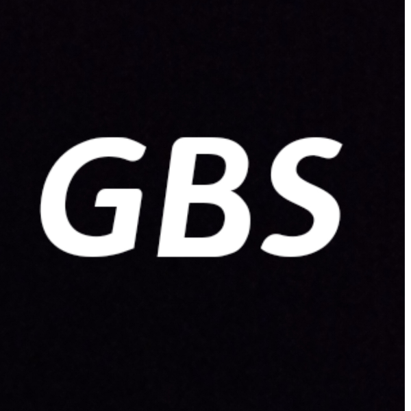 GBS.蜂眼