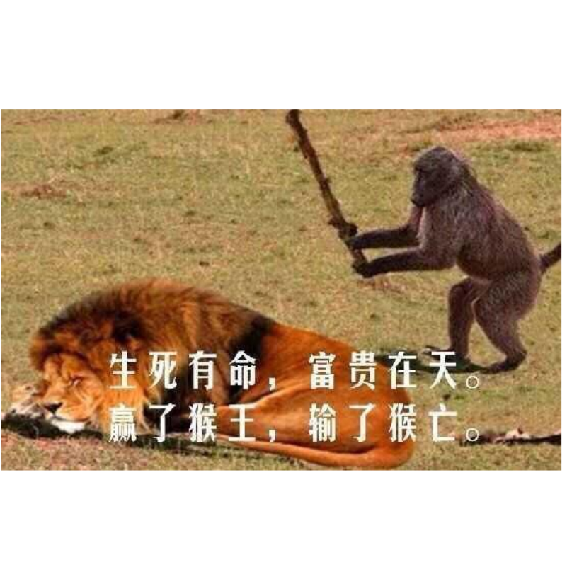 赤沙之雕
