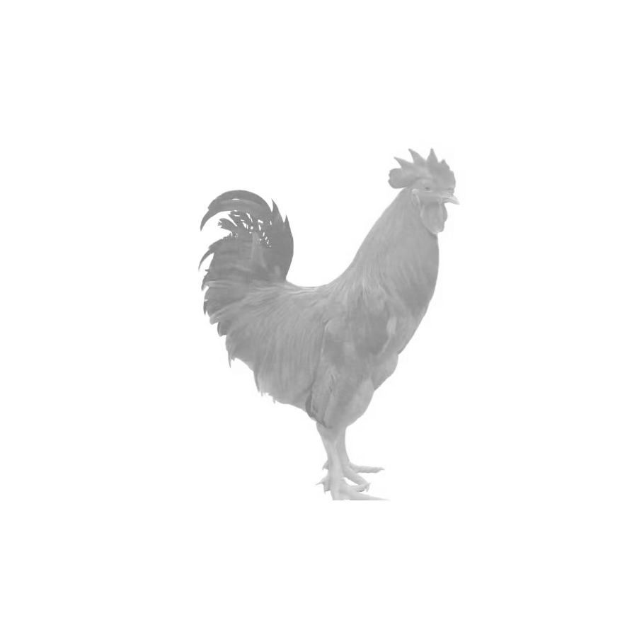 历不历害你（）哥