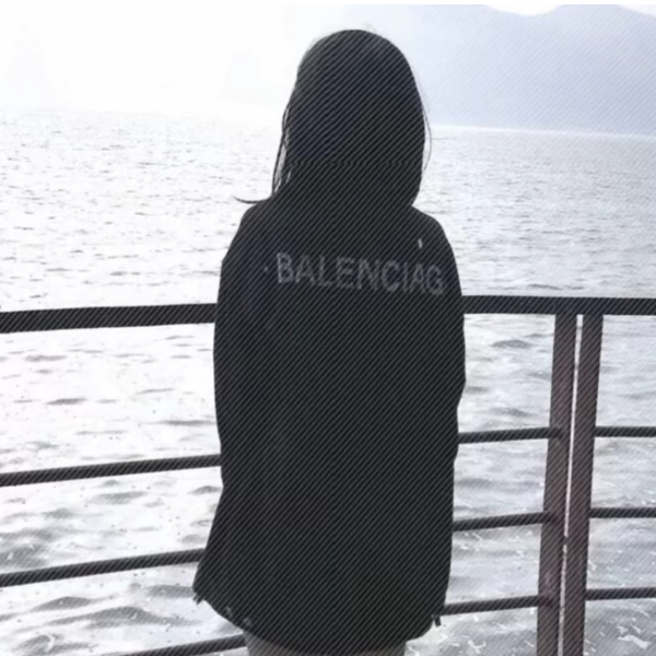 晶崽.