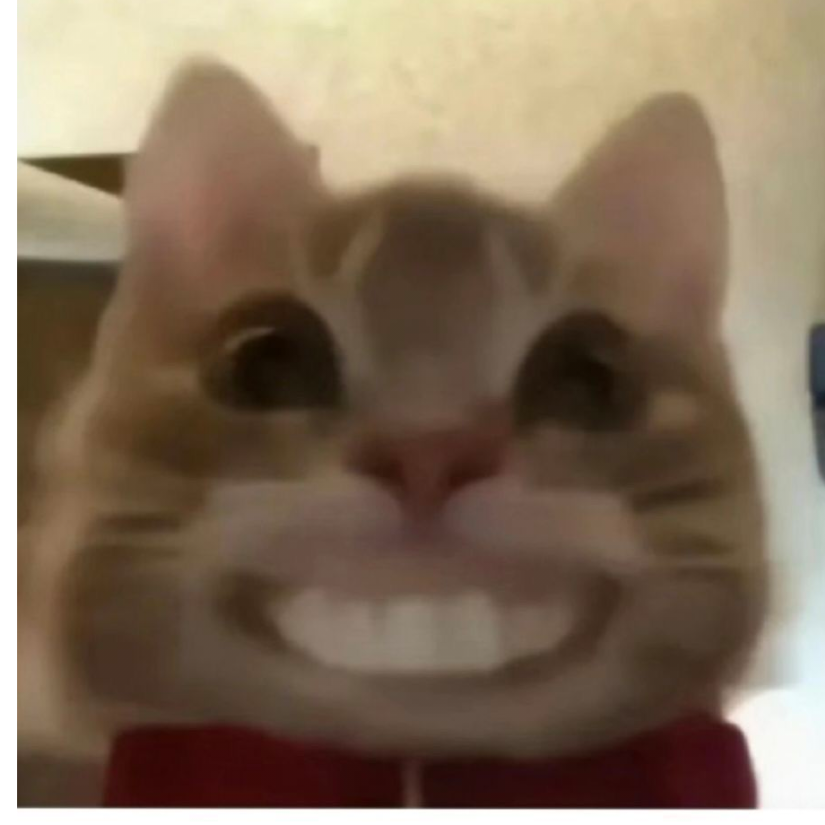 嗨嗨嗨