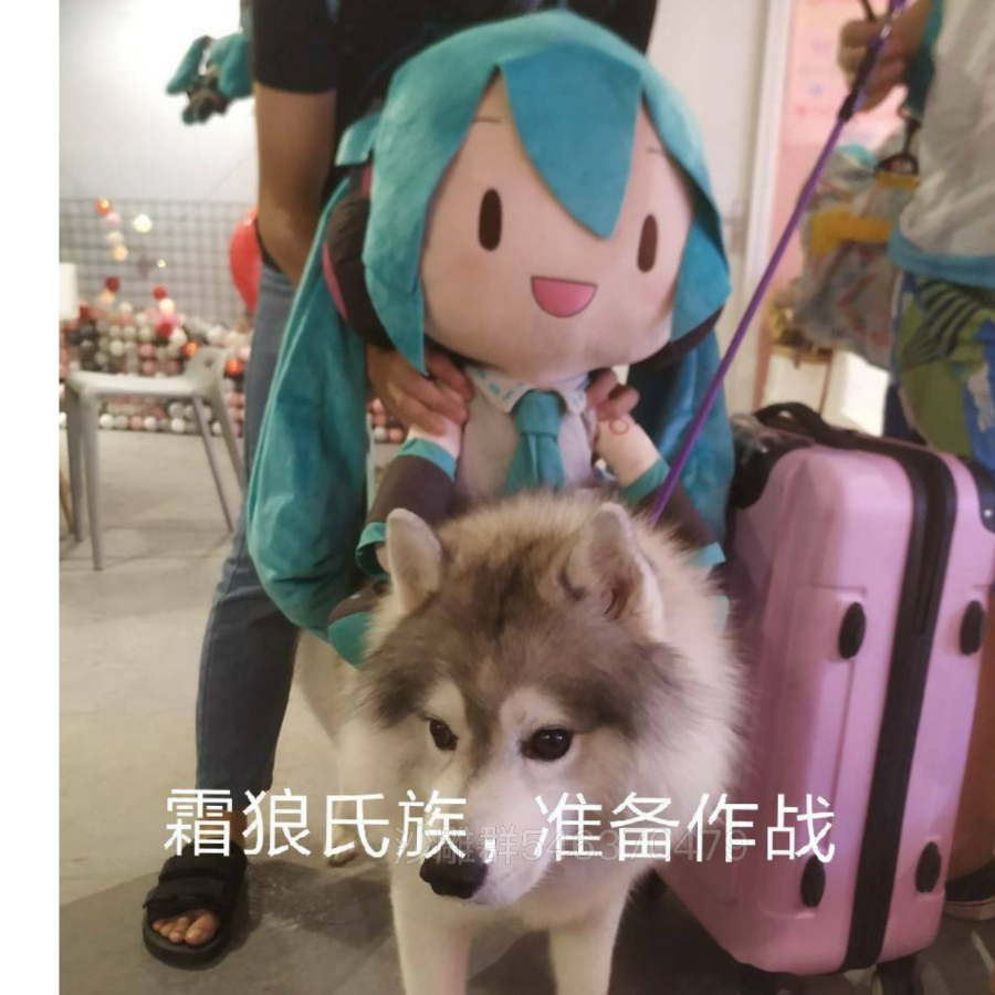 红枫染墨
